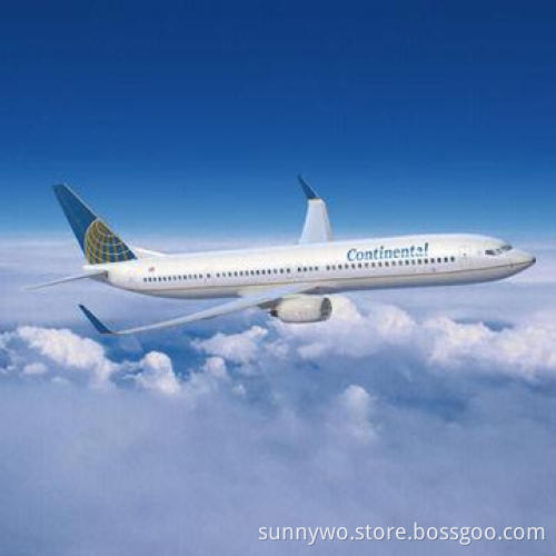 Professional Express Service from Shenzhen to Tampa